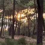 Euronat Naturist 公寓
